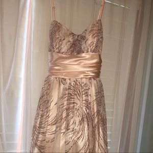 Sparkly Peach Dress